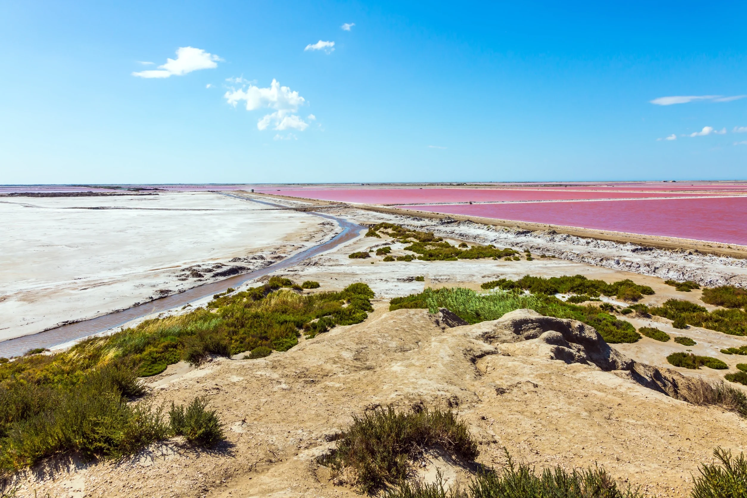 La Camargue entre mer et sel aux portes d'Arles