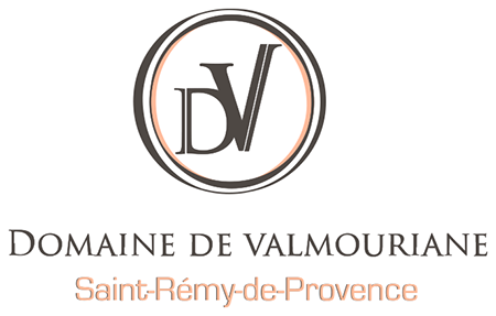 Domaine de Valmouriane Logo